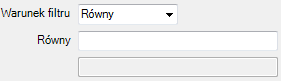 Definiowanie kadrowe - warunek filtru: równy
