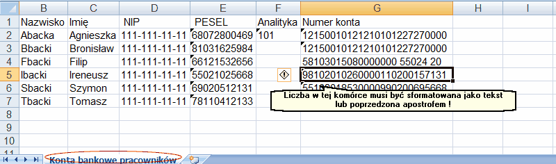 Konta bankowe - przykładowy arkusz importu w programie 'Excel'