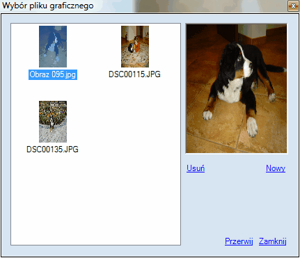 okno dialogowe - wybór pliku graficznego