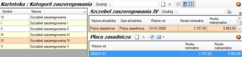 Slownik kategorii zaszeregowania - okno główne i podokna szczegółowe