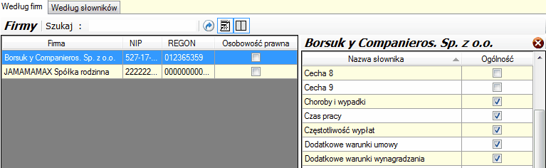 Moduł zarządzania słownikami - układ według firm.