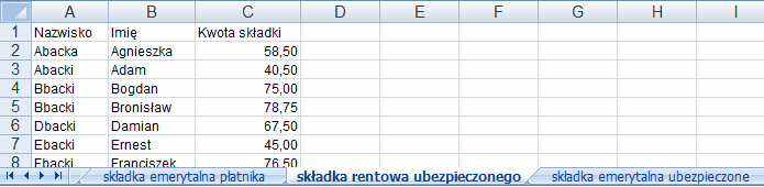 Raporty zapisane do kilku Arkuszy w jednym Skoroszycie Excel-a.